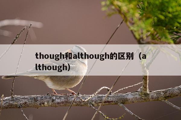 though和although的区别（although）