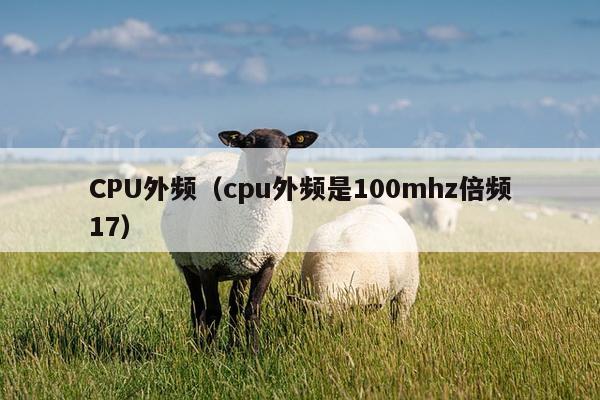 CPU外频（cpu外频是100mhz倍频17）