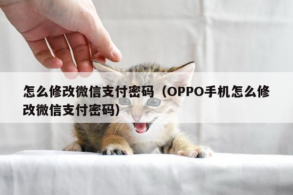 怎么修改微信支付密码（OPPO手机怎么修改微信支付密码）