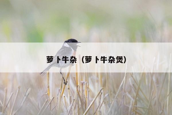 萝卜牛杂（萝卜牛杂煲）