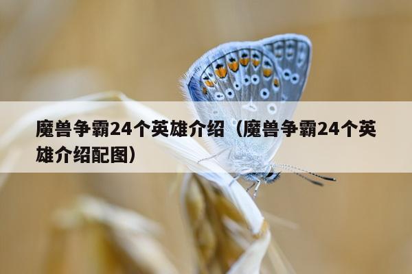 魔兽争霸24个英雄介绍（魔兽争霸24个英雄介绍配图）