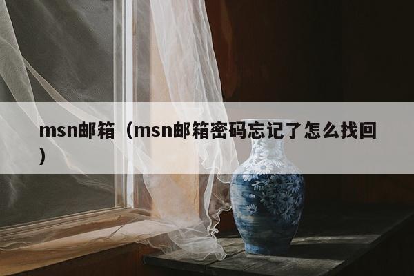 msn邮箱（msn邮箱密码忘记了怎么找回）