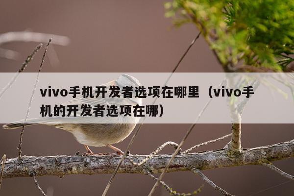 vivo手机开发者选项在哪里（vivo手机的开发者选项在哪）