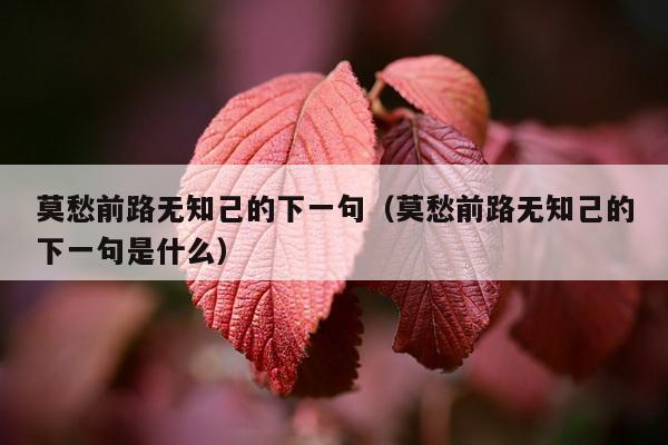 莫愁前路无知己的下一句（莫愁前路无知己的下一句是什么）