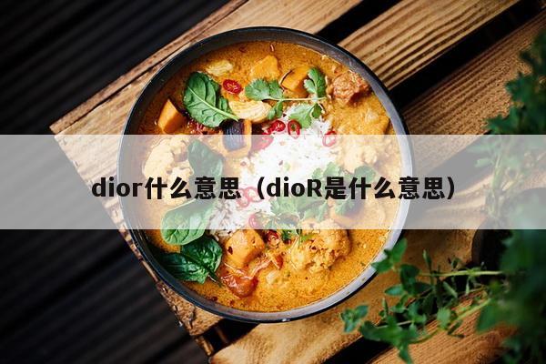 dior什么意思（dioR是什么意思）