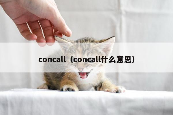 concall（concall什么意思）