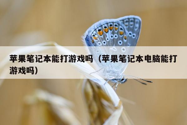 苹果笔记本能打游戏吗（苹果笔记本电脑能打游戏吗）