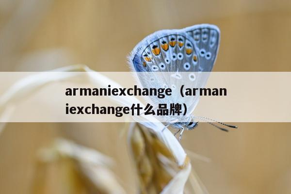 armaniexchange（armaniexchange什么品牌）