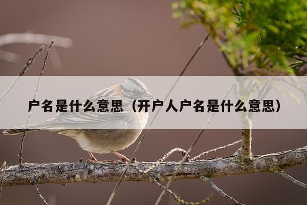 户名是什么意思（开户人户名是什么意思）