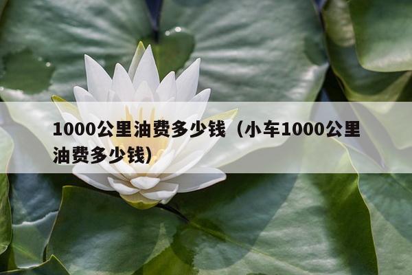 1000公里油费多少钱（小车1000公里油费多少钱）