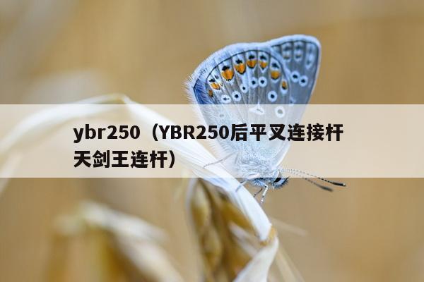 ybr250（YBR250后平叉连接杆 天剑王连杆）