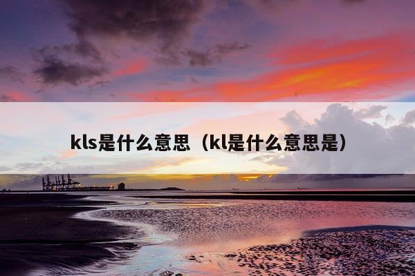 kls是什么意思（kl是什么意思是）