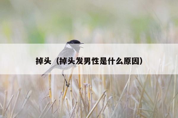 掉头（掉头发男性是什么原因）