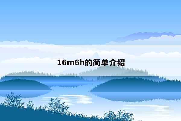 16m6h的简单介绍