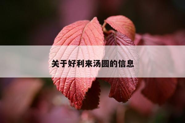 关于好利来汤圆的信息