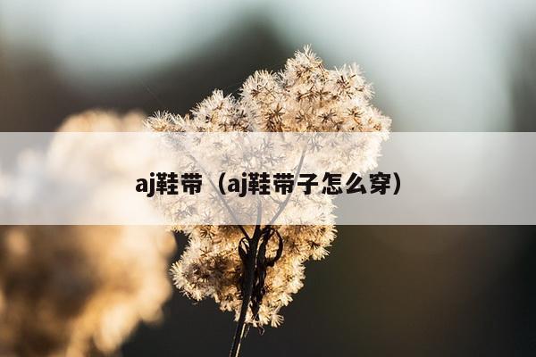 aj鞋带（aj鞋带子怎么穿）