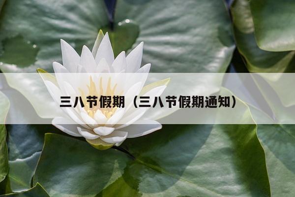 三八节假期（三八节假期通知）