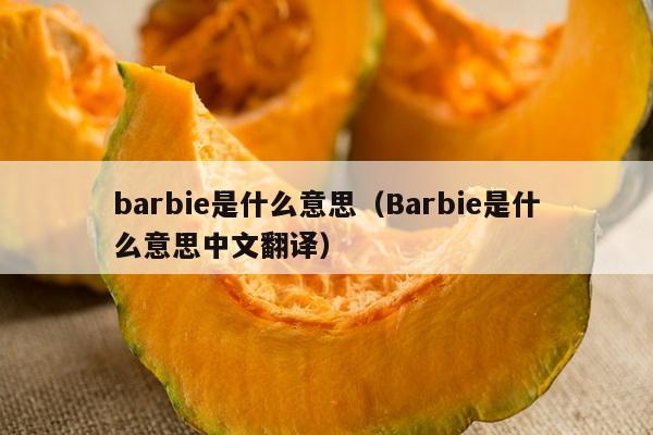 barbie是什么意思（Barbie是什么意思中文翻译）