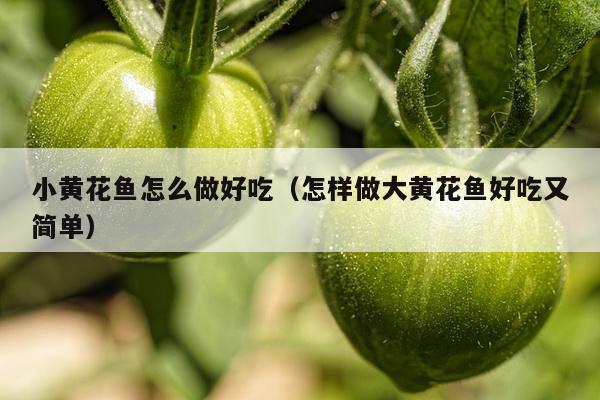 小黄花鱼怎么做好吃（怎样做大黄花鱼好吃又简单）