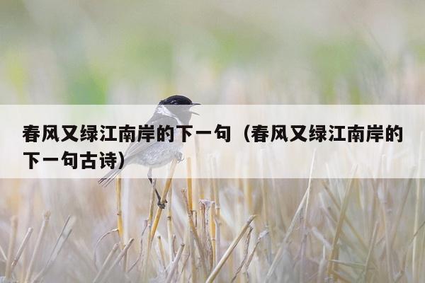 春风又绿江南岸的下一句（春风又绿江南岸的下一句古诗）