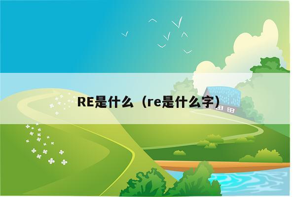 RE是什么（re是什么字）