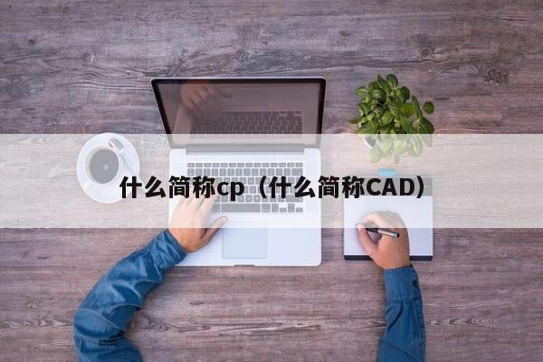 什么简称cp（什么简称CAD）