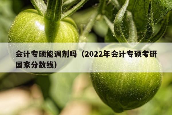 会计专硕能调剂吗（2022年会计专硕考研国家分数线）