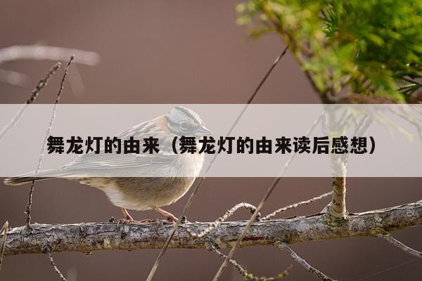 舞龙灯的由来（舞龙灯的由来读后感想）