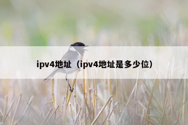 ipv4地址（ipv4地址是多少位）