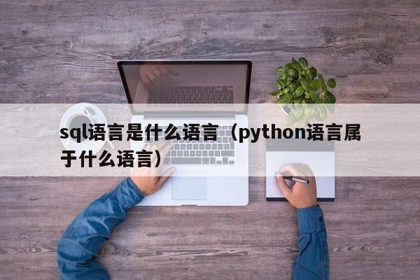 sql语言是什么语言（python语言属于什么语言）