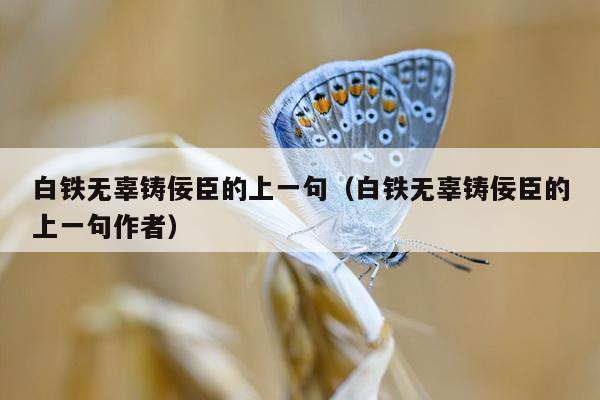 白铁无辜铸佞臣的上一句（白铁无辜铸佞臣的上一句作者）