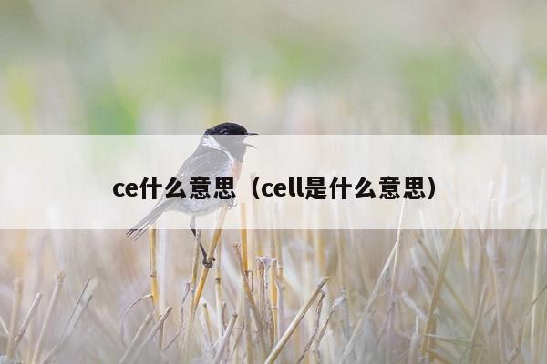 ce什么意思（cell是什么意思）