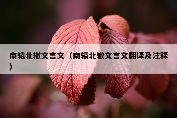 南辕北辙文言文（南辕北辙文言文翻译及注释）