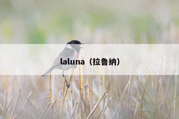 laluna（拉鲁纳）