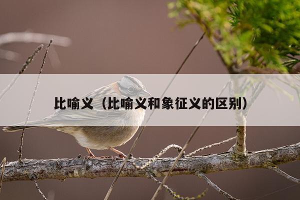 比喻义（比喻义和象征义的区别）