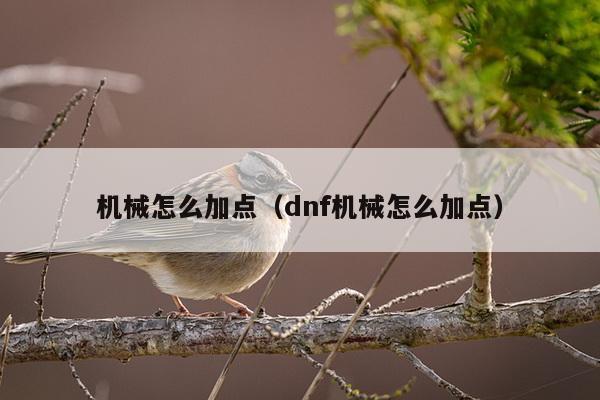 机械怎么加点（dnf机械怎么加点）