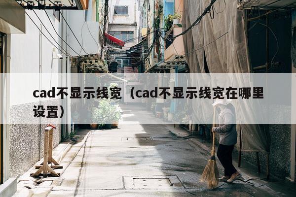 cad不显示线宽（cad不显示线宽在哪里设置）