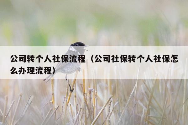 公司转个人社保流程（公司社保转个人社保怎么办理流程）