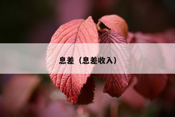 息差（息差收入）