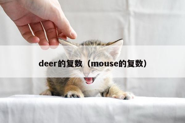 deer的复数（mouse的复数）