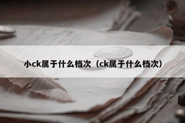 小ck属于什么档次（ck属于什么档次）