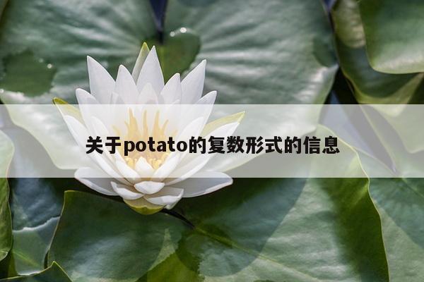 关于potato的复数形式的信息