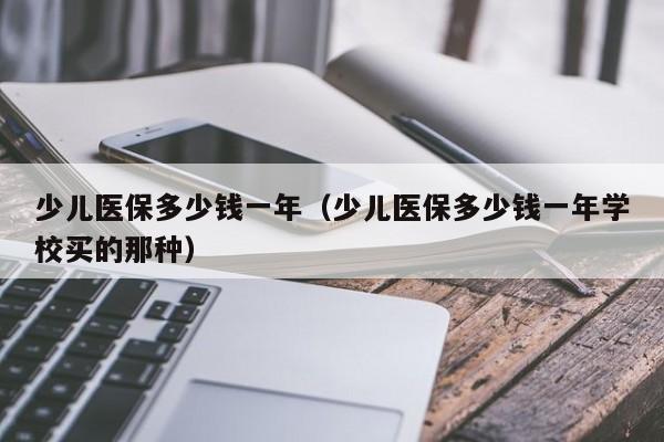 少儿医保多少钱一年（少儿医保多少钱一年学校买的那种）