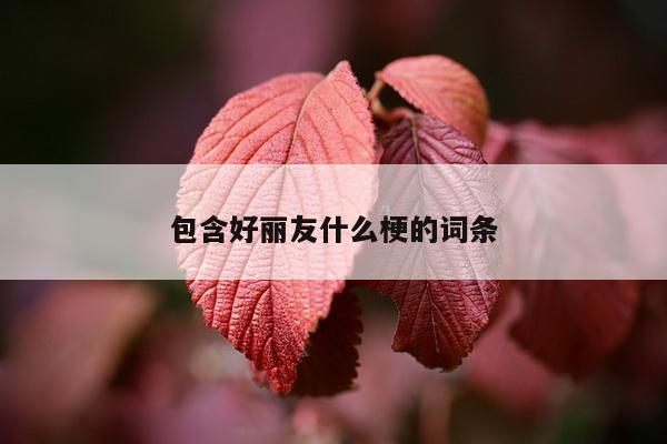 包含好丽友什么梗的词条