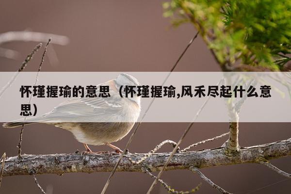 怀瑾握瑜的意思（怀瑾握瑜,风禾尽起什么意思）