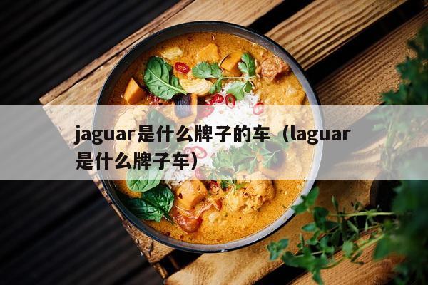 jaguar是什么牌子的车（laguar是什么牌子车）