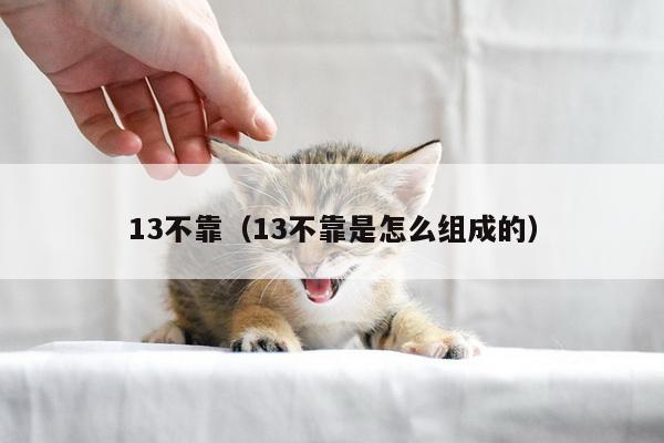 13不靠（13不靠是怎么组成的）