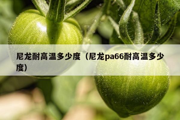 尼龙耐高温多少度（尼龙pa66耐高温多少度）