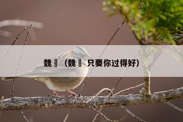 魏俫（魏俫 只要你过得好）