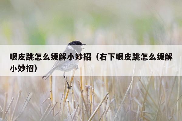 眼皮跳怎么缓解小妙招（右下眼皮跳怎么缓解小妙招）